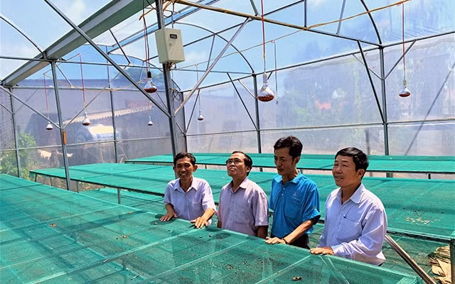 Hệ thống nhà màn phơi sấy để sản xuất cà-phê chất lượng cao honey do các doanh nghiệp hỗ trợ HTX Nông nghiệp và Dịch vụ Quyết Tiến.