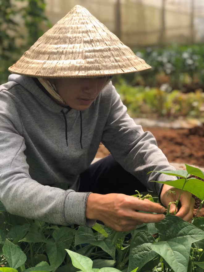 Trồng rau hữu cơ nên công chăm sóc là vô cùng khó khăn Ảnh: XUÂN TRƯỜNG