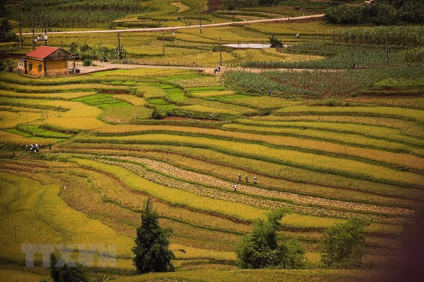 Ruộng bậc thang của đồng bào Mường tại xã Thạch Yên trải dài hứa hẹn sẽ là một điểm du lịch sinh thái thu hút khách du lịch tới đây. (Ảnh: Trọng Đạt/TTXVN) Ruộng bậc thang của đồng bào Mường tại xã Thạch Yên trải dài hứa hẹn sẽ là một điểm du lịch sinh thái thu hút khách du lịch tới đây. (Ảnh: Trọng Đạt/TTXVN)