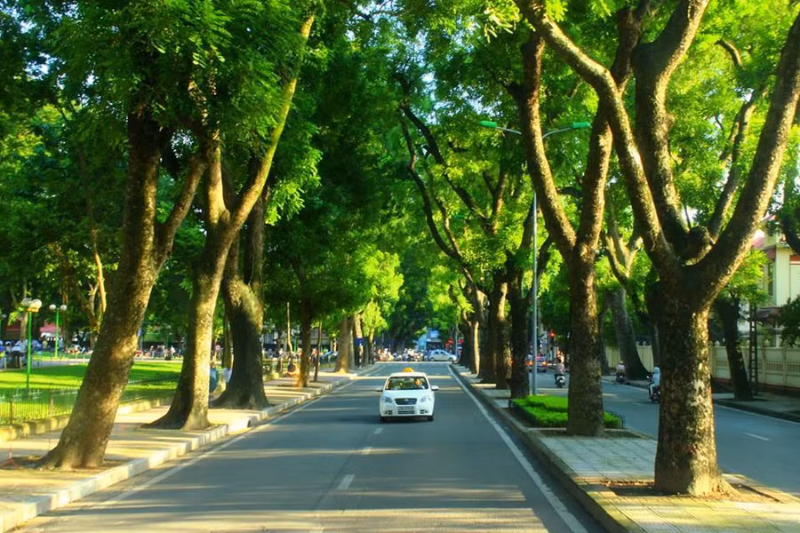 Ảnh minh họa: Internet