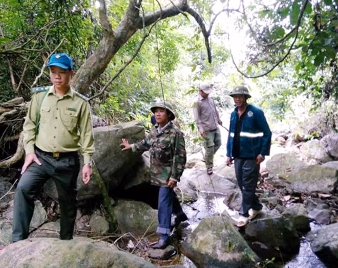 Do lương thấp, diện tích rừng rất lớn, công việc vất vả nên hàng loạt nhân viên bảo vệ rừng ở Quảng Bình xin nghỉ việc.