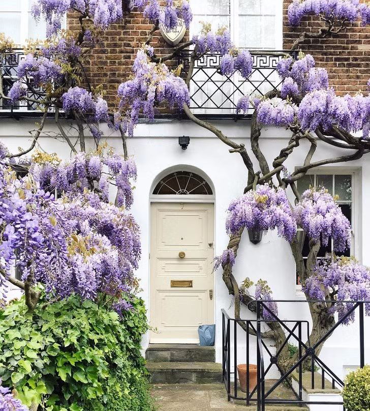 Nhiếp ảnh gia người Anh Bella Foxwell đi du lịch vòng quanh London và chụp ảnh cửa trước của người dân địa phương.
