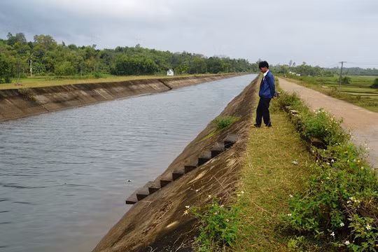  1 Kênh Phú Ninh, nơi cụ bà gieo mình tự tử