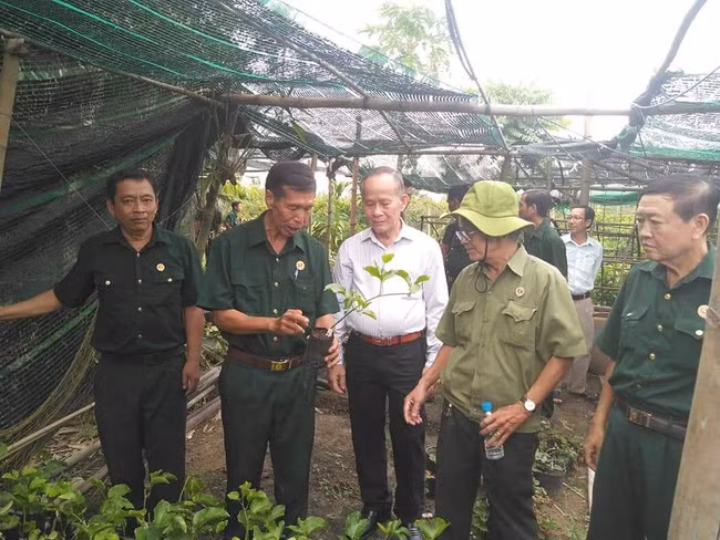  Ông Sáu Công (người cầm cây giống) giới thiệu chanh dây ngọt ghép gốc nhãn lồng. Ảnh: H.C