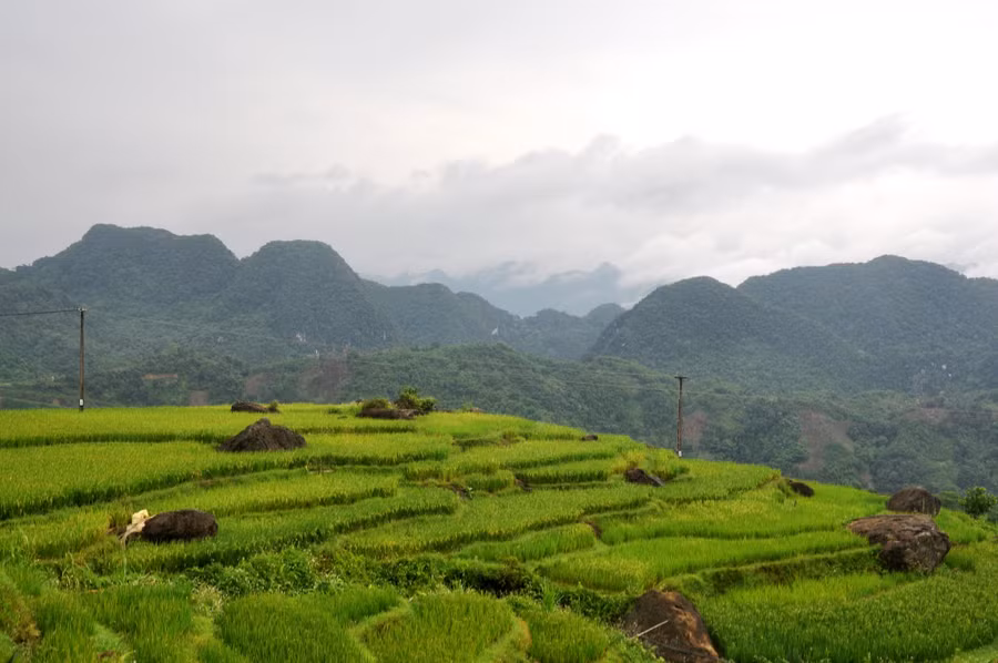 Đứng từ Homestay Mạnh Cường, nhìn ra phía trước là khung cảnh thiên nhiên đẹp ngỡ ngàng với những thửa ruộng bậc thang đẹp ngất ngây.