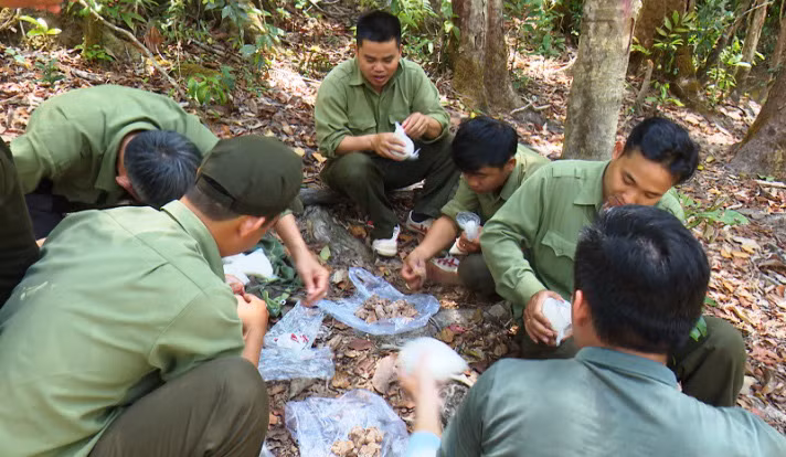Bữa cơm đạm bạc của lực lượng quản lý, bảo vệ rừng trên đường tuần tra khu vực cây pơ mu phân bố.