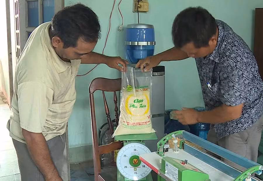 Đóng gói sản phẩm gạo Phú Thiện của Hợp tác xã Nông nghiệp Chư A Thai. Ảnh: N.S