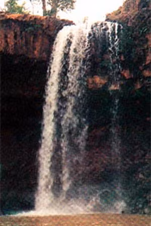 Thác Lệ Kim.