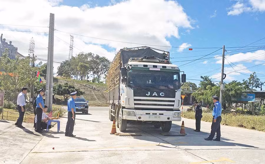 Lực lượng Thanh tra Sở Giao thông-Vận tải cân tải trọng một xe chở mía. Ảnh: L.H