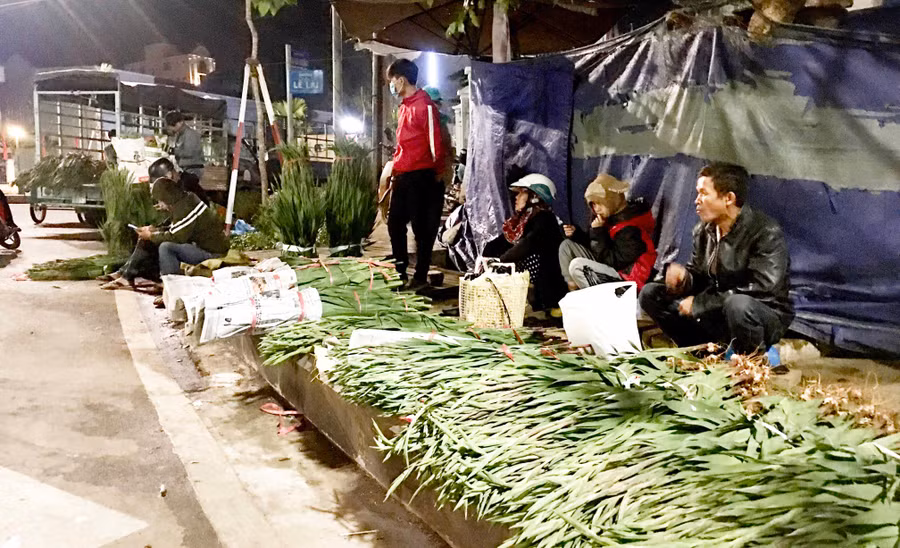 Nhiều gia đình đưa theo cả con nhỏ ra chợ bán hoa lay ơn. Ảnh: Lê Hòa