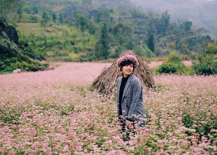 Những cánh đồng hoa ở Phố Cáo nối nhau từ thung lũng này tới thung lũng khác. Ảnh: luhanhvietnam