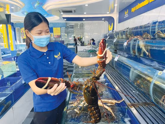 Thủy sản nhập khẩu bày bán tại nhiều cửa hàng Thủy sản nhập khẩu bày bán tại nhiều cửa hàng