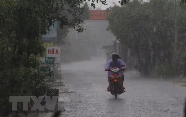  Ảnh minh họa. (Nguồn: TTXVN)