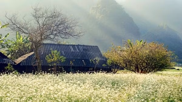 Ảnh: Kim Dung