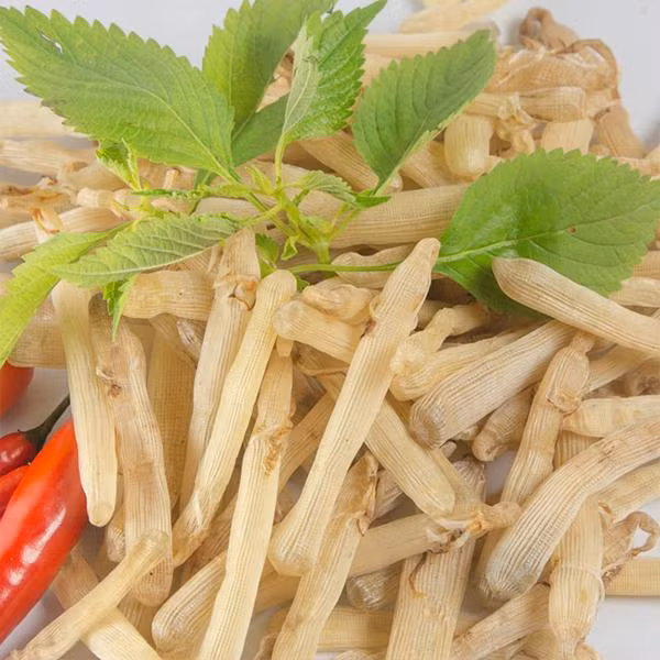 Sá sùng khô loại 1 trên thị trường có giá đến 4 triệu đồng/kg. Ảnh: Quang Thuần