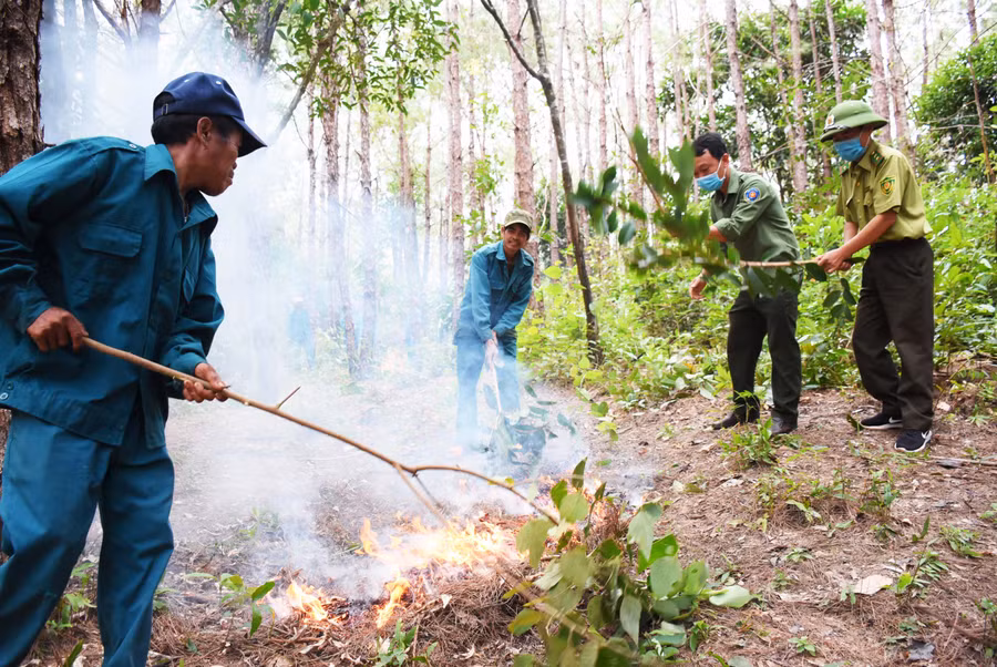 Nhóm hộ nhận khoán bảo vệ rừng làng Tơ Vơn (xã Ia Khươl, huyện Chư Păh) đốt có điều khiển phần thực bì nhằm ngăn ngừa cháy rừng. Ảnh: Minh Phương