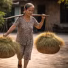 Ngăn ký ức: Những gánh rơm của ngoại