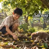 Ngăn ký ức: Sấu rụng góc vườn
