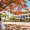 Ngăn ký ức: Nhớ thương mùa phượng vĩ