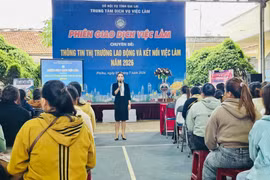 Gia Lai tổ chức 2 phiên giao dịch việc làm dành cho người lao động 