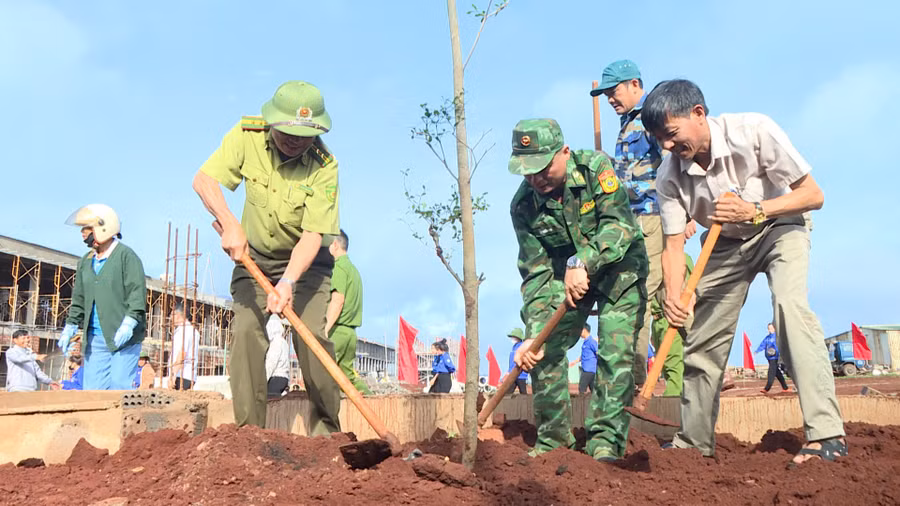 trong-400-cay-bang-dai-loan-phuong-vi-dau-va-hong-loc-trong-khuon-vien-truong-pho-thong-dan-toc-noi-tru-lien-cap-tieu-hoc-va-thcs-xa-ia-nan-anh-minh-trung.jpg