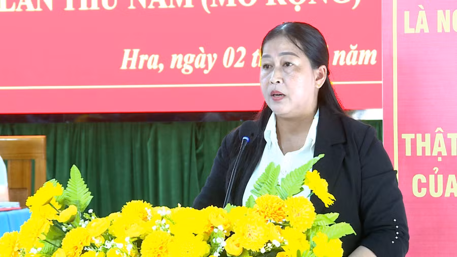 bi-thu-dang-uy-xa-hra-dinh-thi-minh-ha-phat-bieu-tai-hoi-nghi.jpg