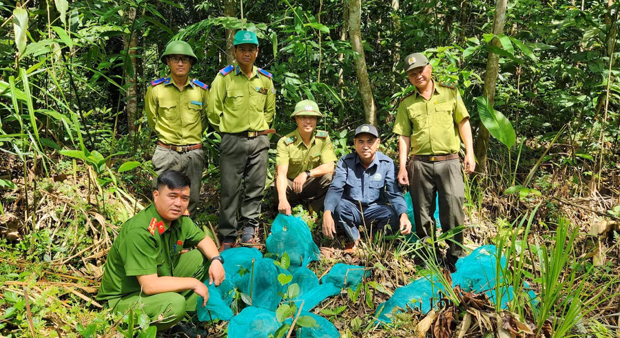 cac-luc-luong-chuan-bi-cong-tac-tai-tha.jpg