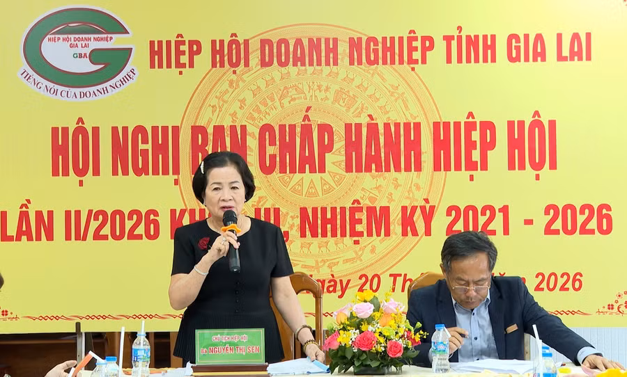 ba-nguyen-thi-sen-chu-tich-hiep-hoi-doanh-nghiep-tinh-gia-lai-phat-bieu-tai-hoi-nghi.jpg