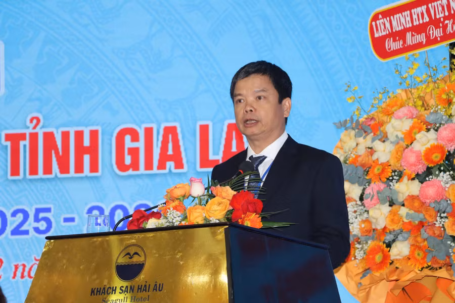 dong-chi-nguyen-huu-que-tinh-uy-vien-pho-chu-tich-ubnd-tinh-phat-bieu-tai-dai-hoi.jpg