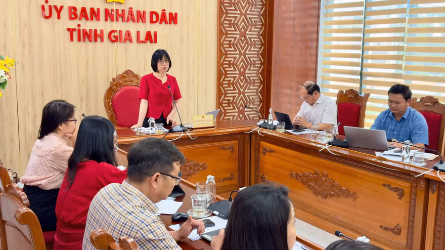 pho-chu-tich-ubnd-tinh-nguyen-thi-thanh-lich-ket-luan-tai-buoi-lam-viec.jpg