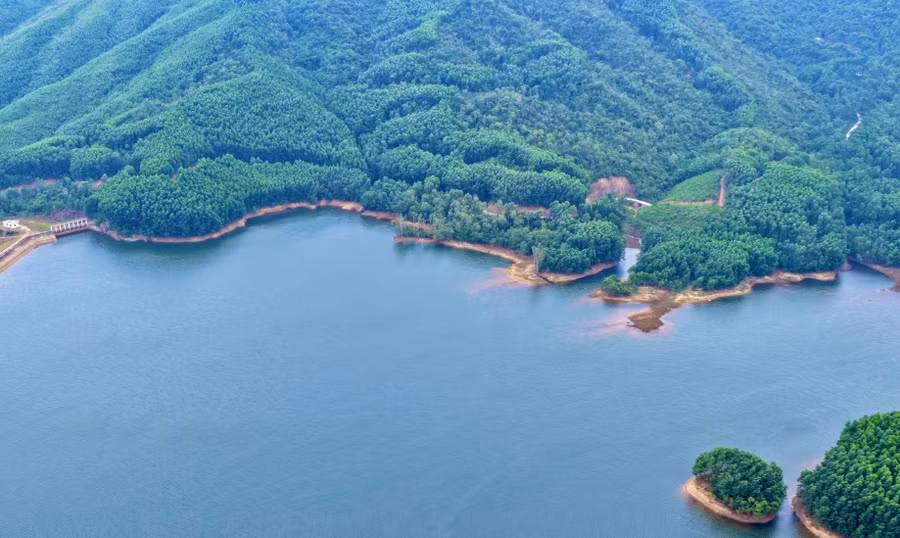 vung-rung-nui-cu-ong-di-lac.jpg
