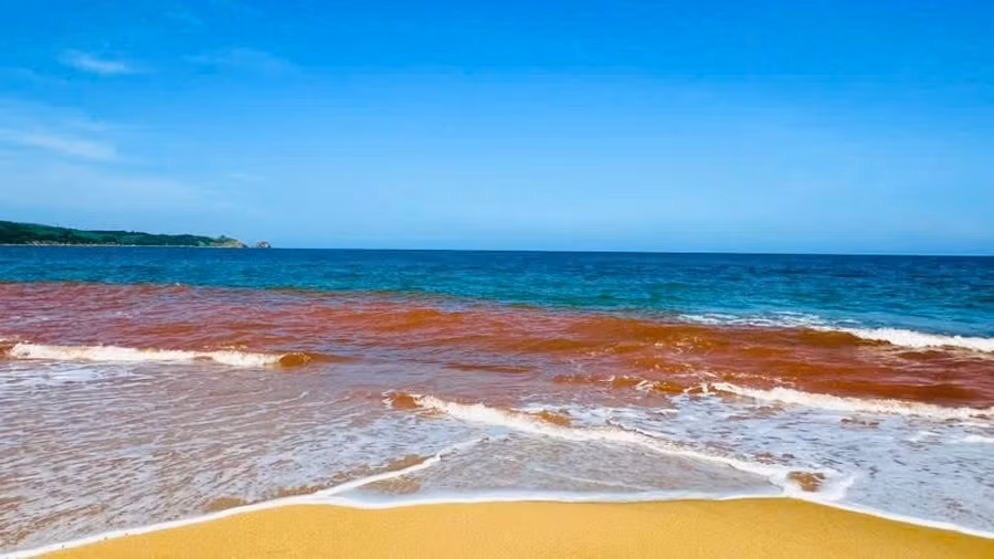nuoc-bien-ven-bo-tai-khu-pho-thien-chanh-co-mau-nau-do.jpg