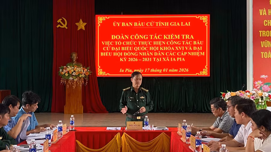 dai-ta-hai.jpg