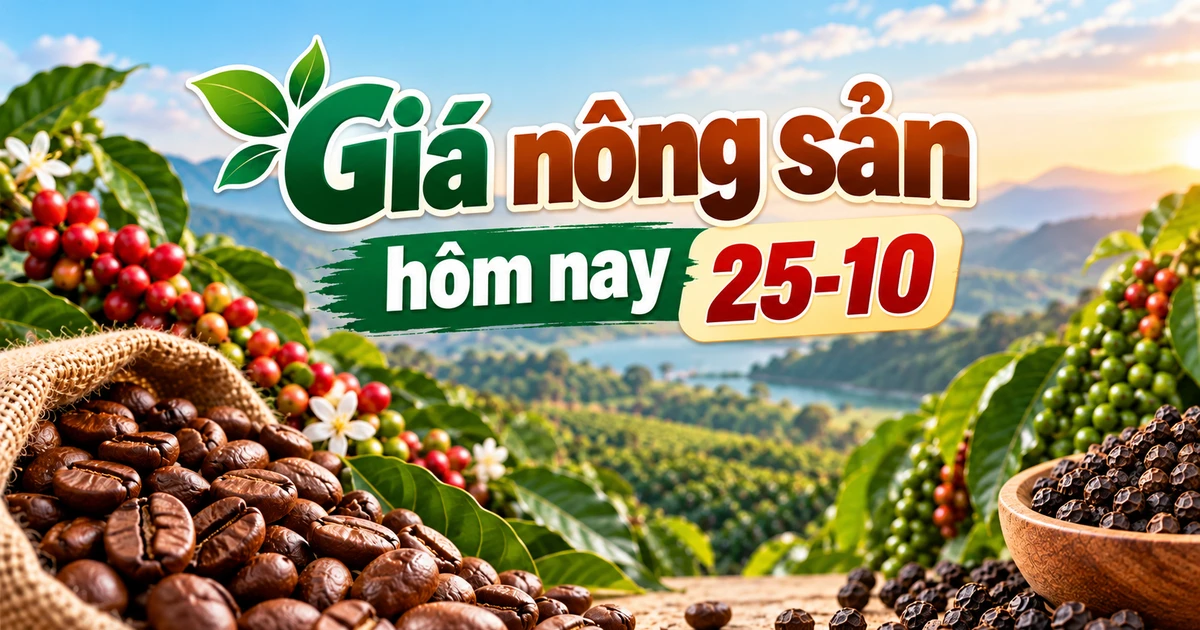 Giá nông sản hôm nay (25-10): Cà phê mất mốc 90.000 đồng/kg, hồ tiêu đi ngang