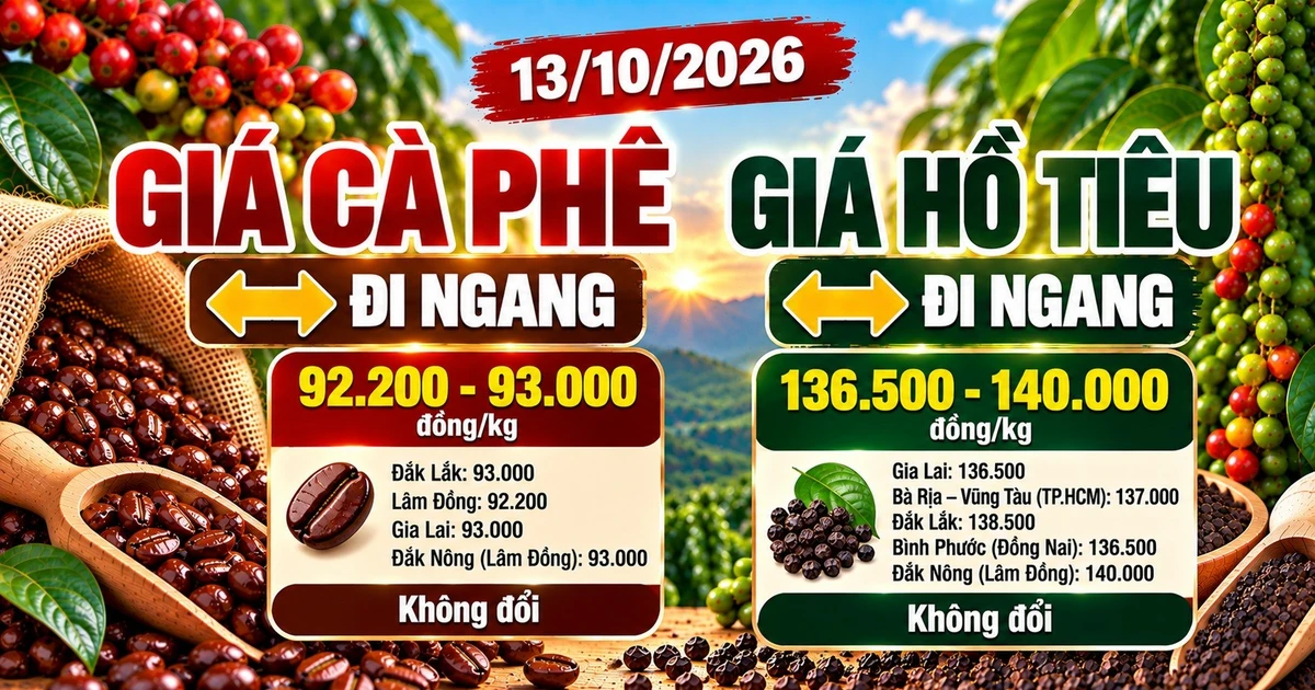 Giá cà phê, hồ tiêu hôm nay 13/10: Cà phê chững lại, hồ tiêu giữ vùng giá cao