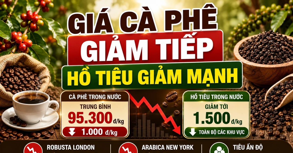 Giá cà phê, hồ tiêu hôm nay 28/8: Hai mặt hàng cùng giảm mạnh