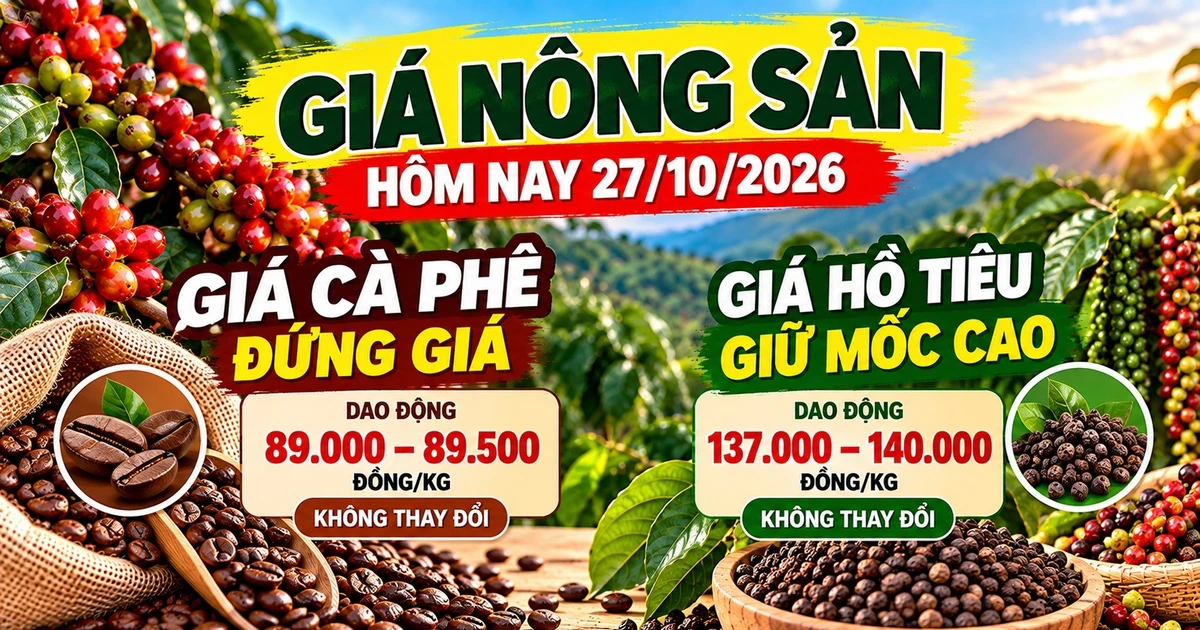 Giá nông sản hôm nay 27/10: Cà phê đứng giá dưới 90.000 đồng/kg