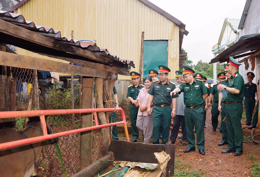 doan-cong-tac-den-tham-kiem-tra-tai-cac-gia-dinh-thu-huong-chuong-trinh-du-an-chan-nuoi-bo-giong-sinh-san.jpg