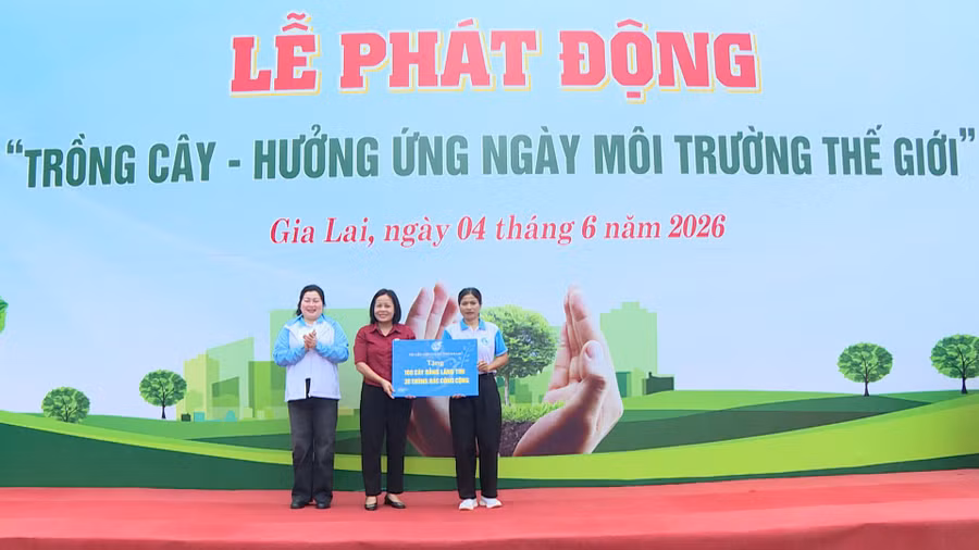hoi-lhpn-tinh-da-ban-giao-cho-xa-ia-krel-100-cay-bang-lang-tim-va-30-thung-rac-cong-cong.jpg