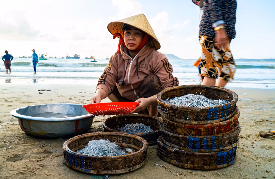 thuong-lai-ben-mo-ca-com-vua-thu-mua.jpg
