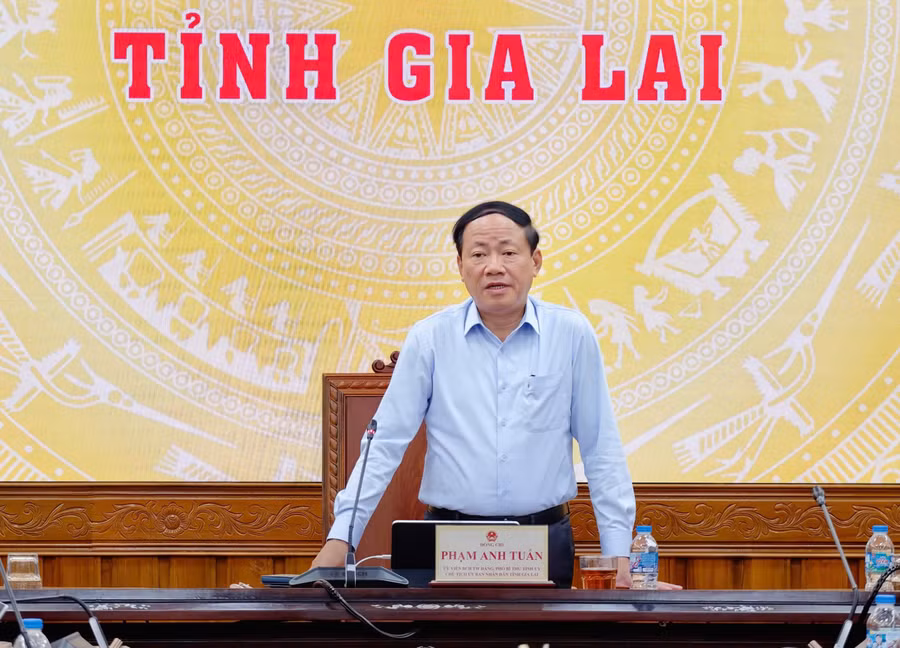 Chủ tịch UBND tỉnh Phạm Anh Tuấn phát biểu chỉ đạo tại cuộc họp. Ảnh: Dũng Nhân