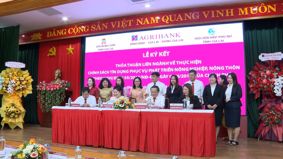 quang-canh-le-ky-ket.jpg