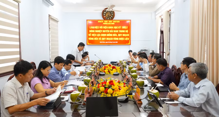 hoai-nhon-dinh-huong-phat-trien-vung-dua-vung-duoc-lieu.jpg