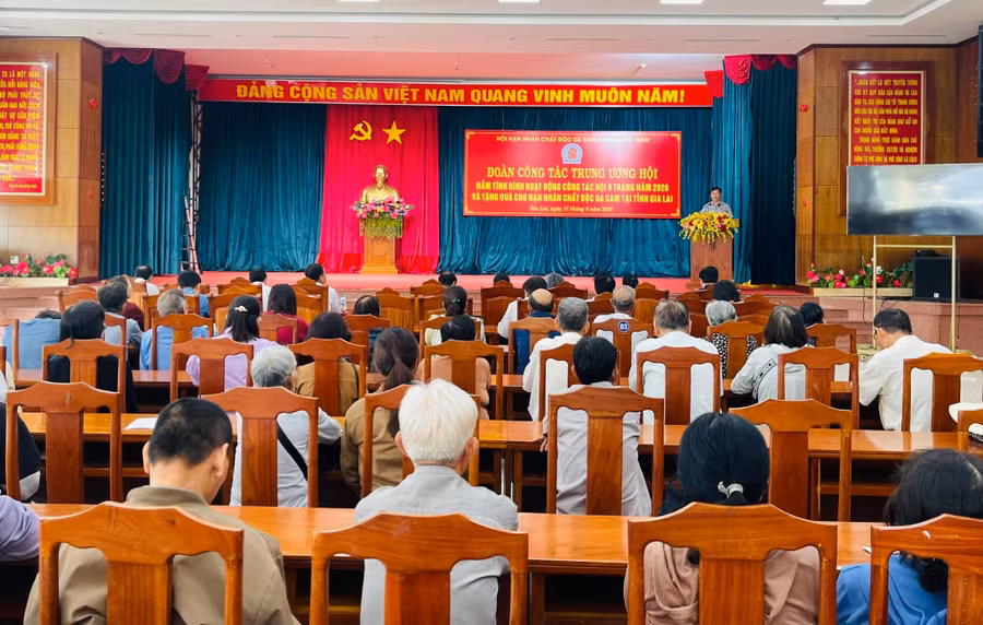 doan-cong-tac-trung-uong-hoi-nan-nhan-chat-doc-da-camdioxin-viet-nam-lam-viec-tai-gia-lai.jpg
