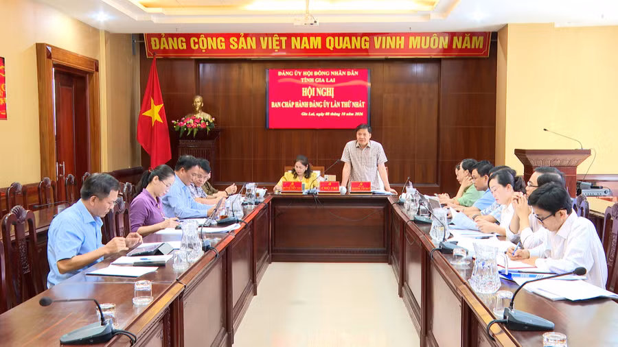 hoi-nghi-ban-chap-hanh-dang-bo-hoi-dong-nhan-dan-tinh-lan-thu-nhat.jpg