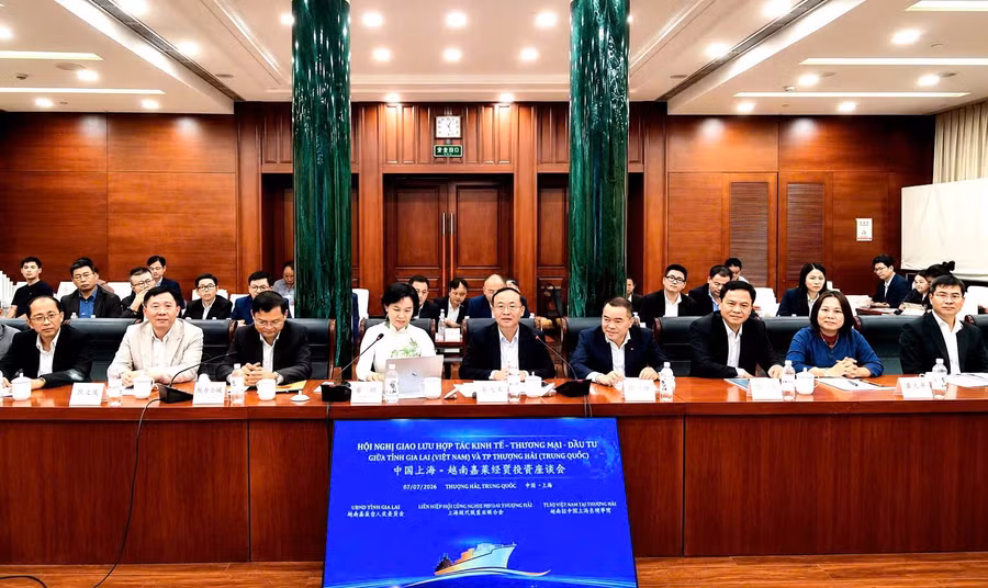 thuc-day-hop-tac-song-phuong-gia-lai-viet-nam-va-tp-thuong-hai-trung-quoc.jpg