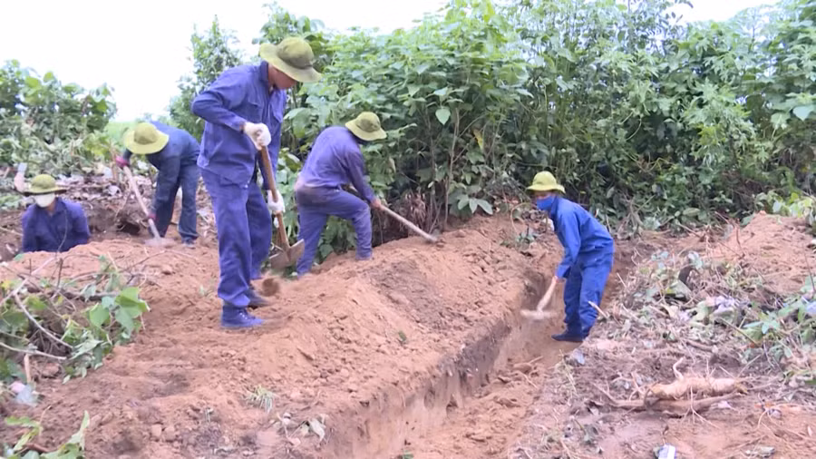 doi-k52-thuc-hien-tim-kiem-quy-tap-cac-hai-cot-liet-si-tai-cac-tinh-dong-bac-vuong-quoc-campuchia-anh-doan-binh.jpg