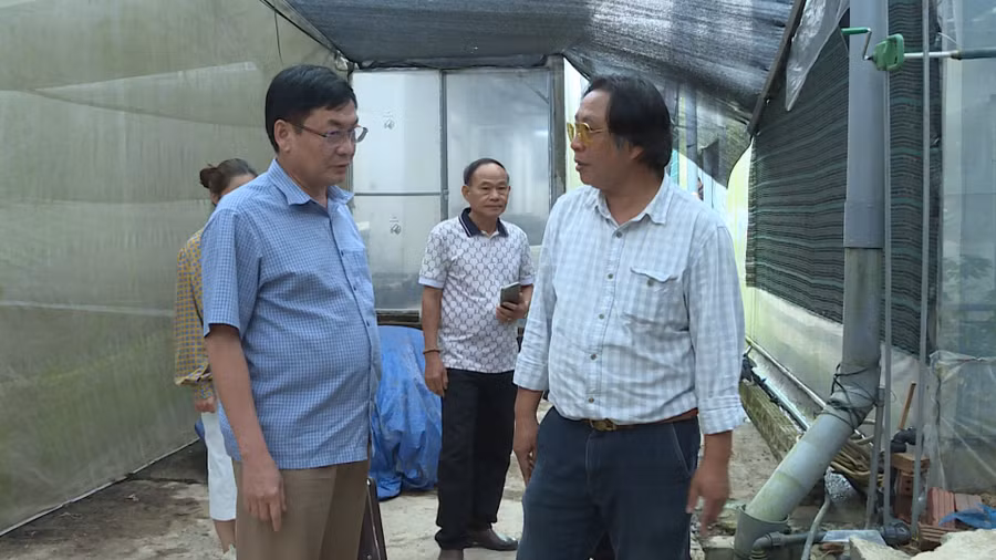 ong-le-quang-trungpho-tong-giam-doc-cong-ty-co-phan-sao-do-tay-bac-ben-phai-gioi-thieu-voi-tong-bien-tap-bao-gia-lai-huynh-kien-ben-trai-ve-quy-trinh-trong-sam-cong-nghe-cao-anh-doan-binh.jpg