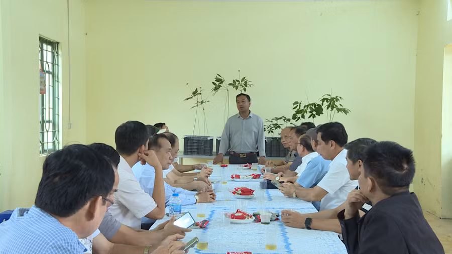 lanh-dao-lanh-dao-cong-ty-tnhh-phat-trien-khoa-hoc-quoc-te-truong-sinh-gioi-thieu-mo-hinh-trong-sam-ngoc-linh-va-sam-lai-chau-bang-cong-nghe-cao-anh-doan-binh.jpg