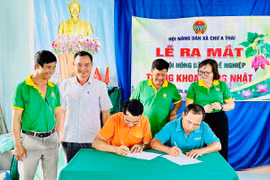 Nông dân đổi tư duy, nâng giá trị nông sản
